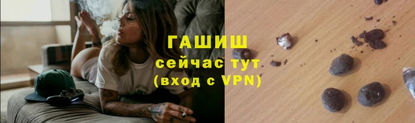 спиды Гусев