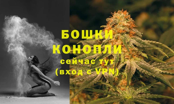 спиды Гусев