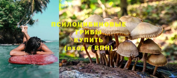 спиды Гусев