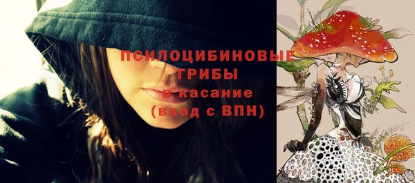 молекула духа Гусь-Хрустальный