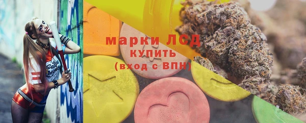 спиды Гусев