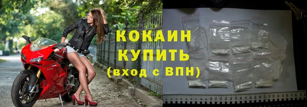 спиды Гусев